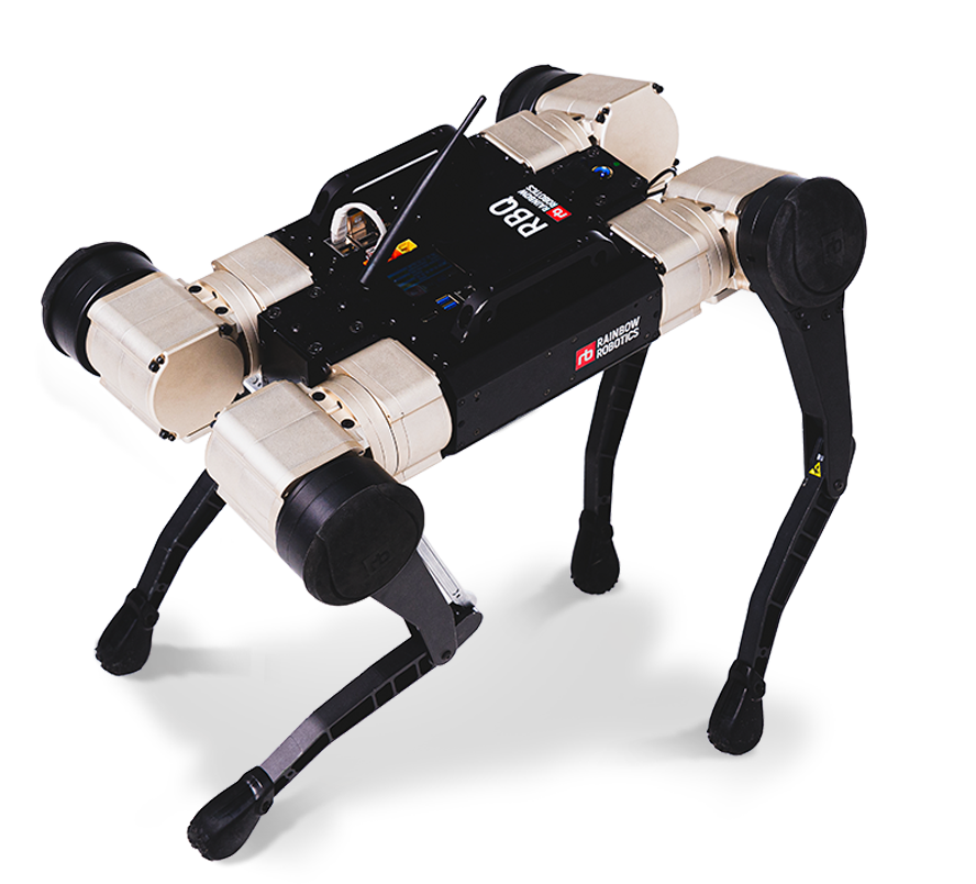 Robo-Dog Unser Roboterhund